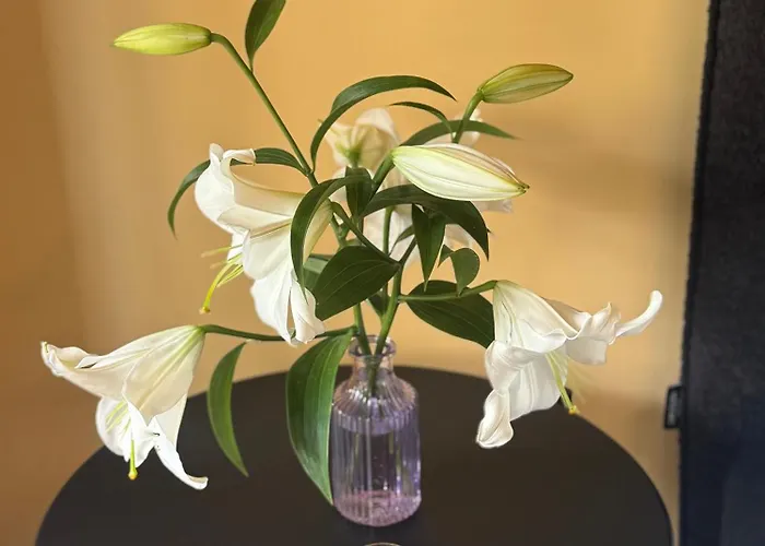 Daisy Cinque Terre La Spezia